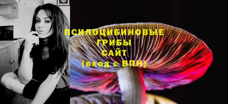 mega сайт  сколько стоит  Изобильный  Псилоцибиновые грибы Psilocybe 